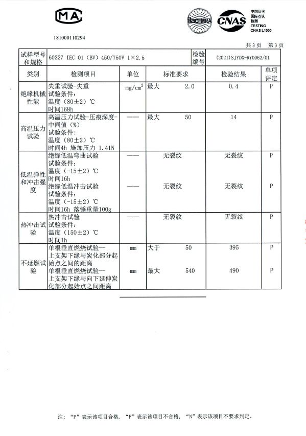 BV 检测报告2021